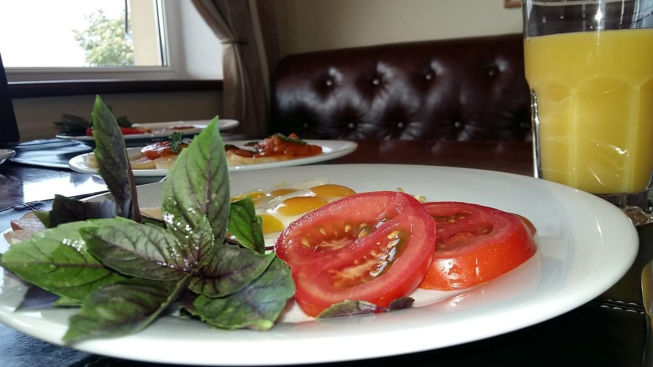 Henry Ford Mini Hotel Odessa Dış mekan fotoğraf